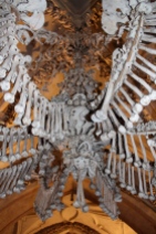 This chandelier has all of the human bones in it.